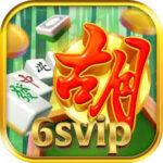 6SVIP icon
