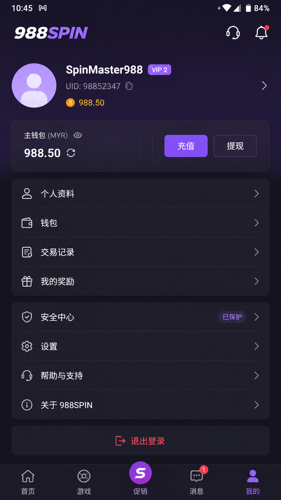 988SPIN screenshot 3
