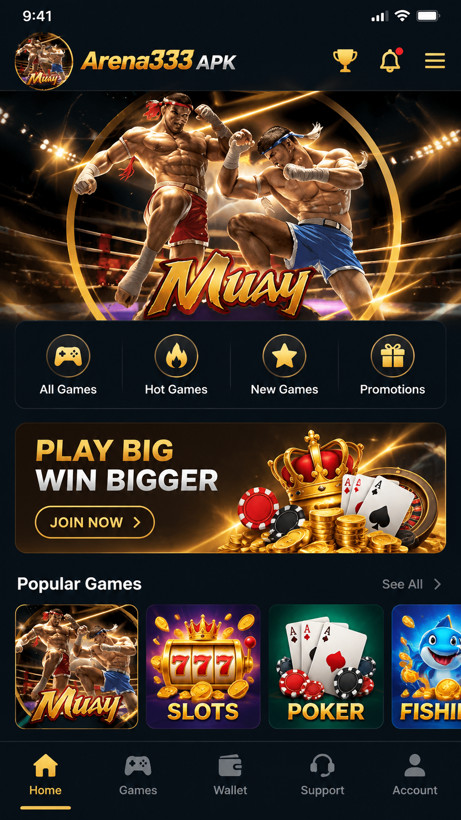 Arena333 APK screenshot 1