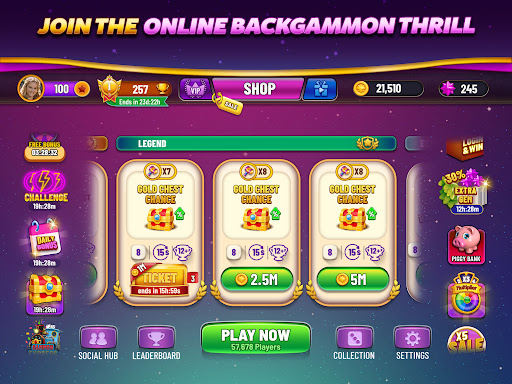 Backgammon Plus - Board Game screenshot 9