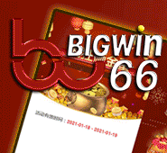 BALIWIN66 icon