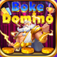 BoKeDomino icon