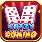 Crazy Domino icon