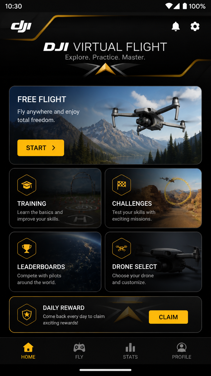 Dji Virtual Flight screenshot 2