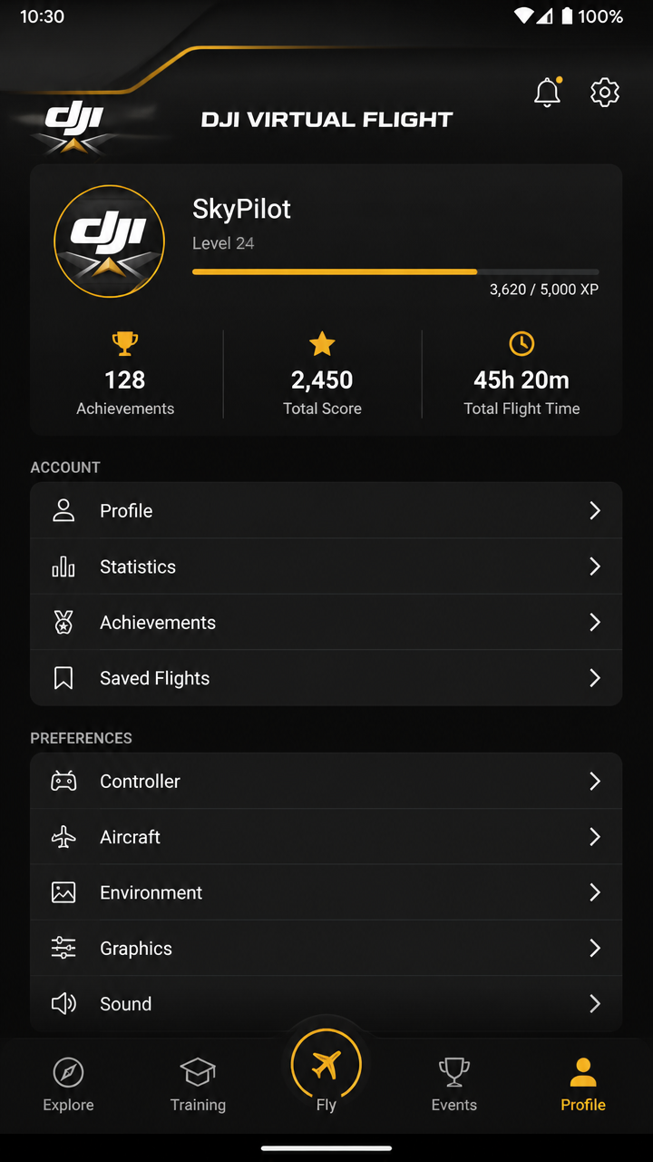 Dji Virtual Flight screenshot 3