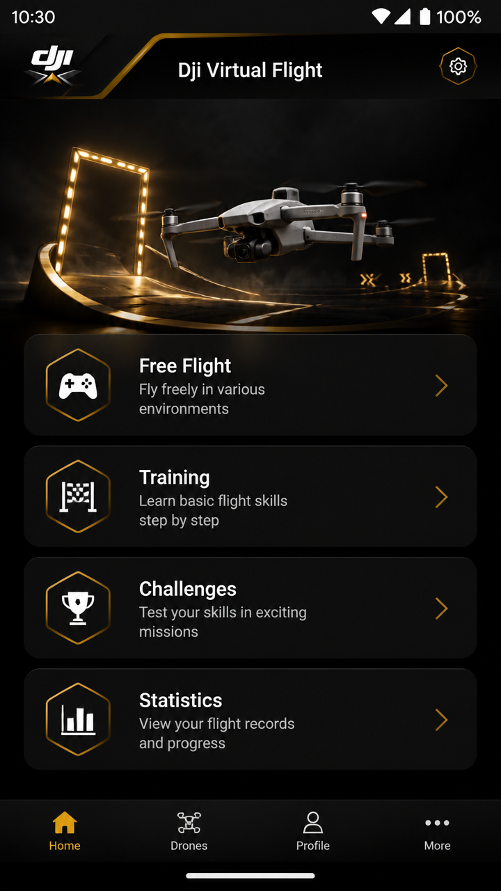 Dji Virtual Flight screenshot 1