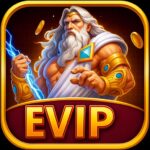 EVIP icon