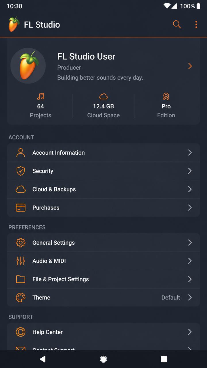 Fl Studio screenshot 3