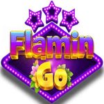FlaminGo icon