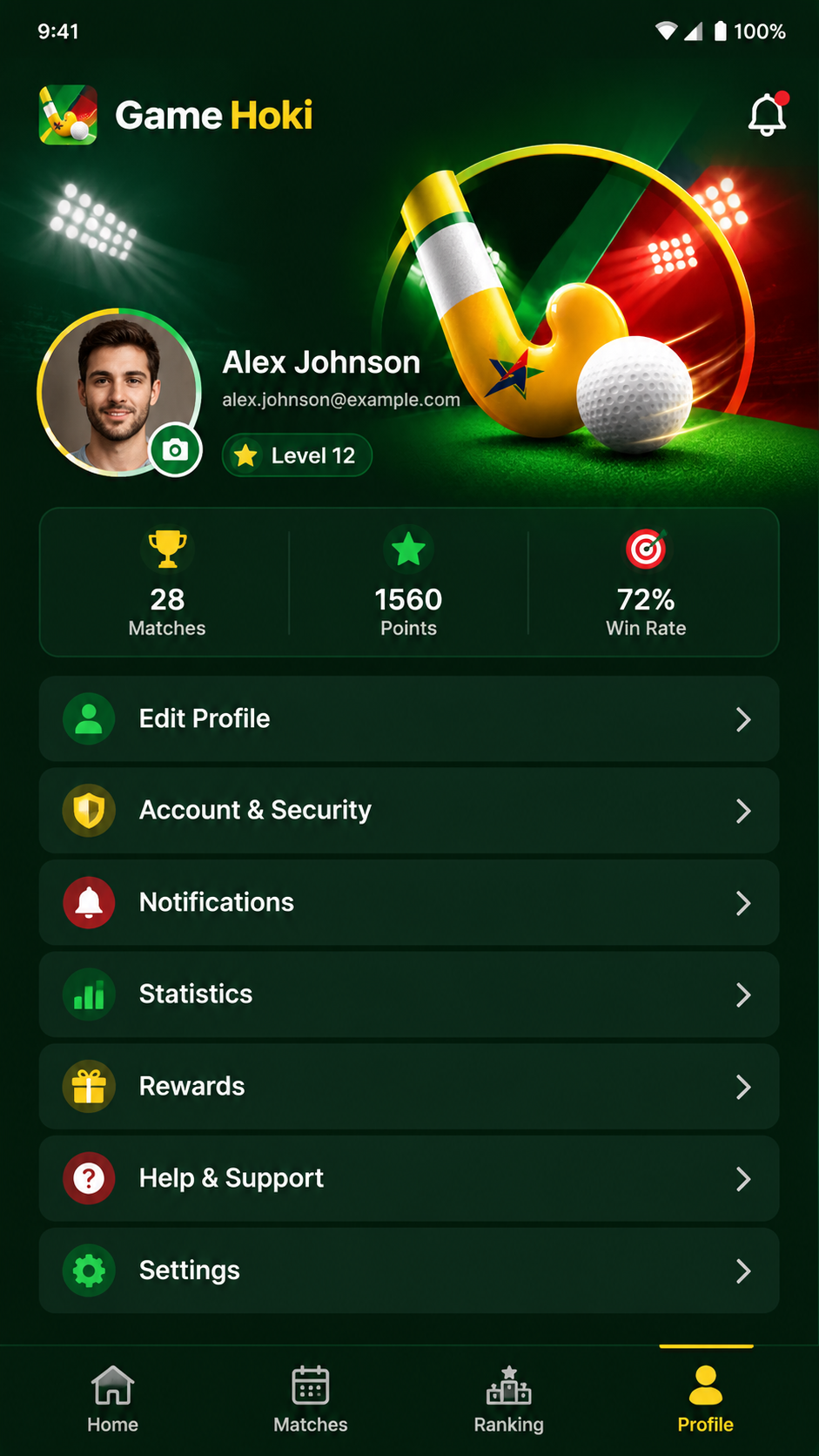 Game Hoki screenshot 3