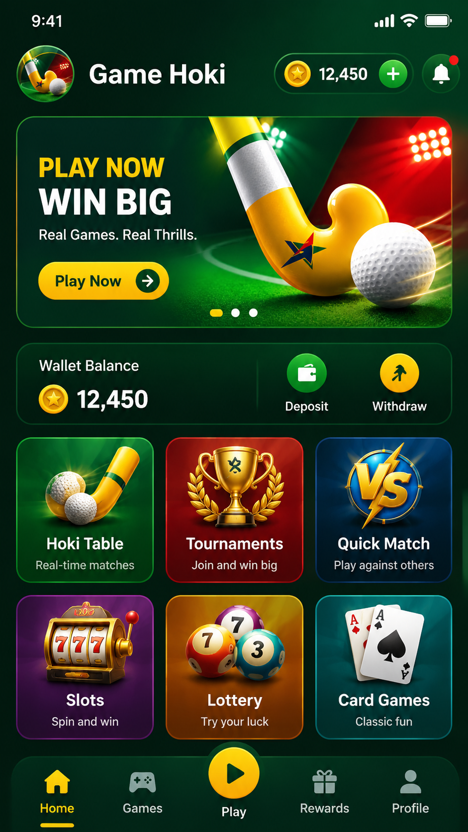 Game Hoki screenshot 2