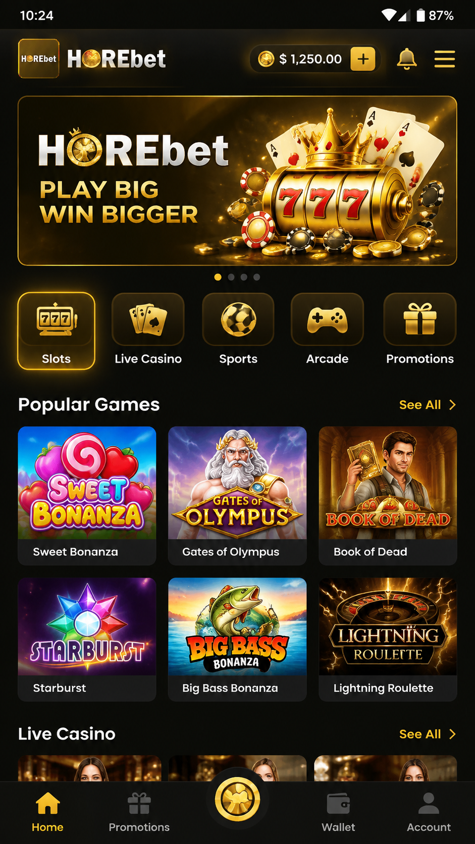 HOREBET screenshot 2