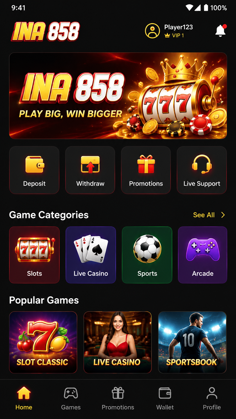 INA858 screenshot 2