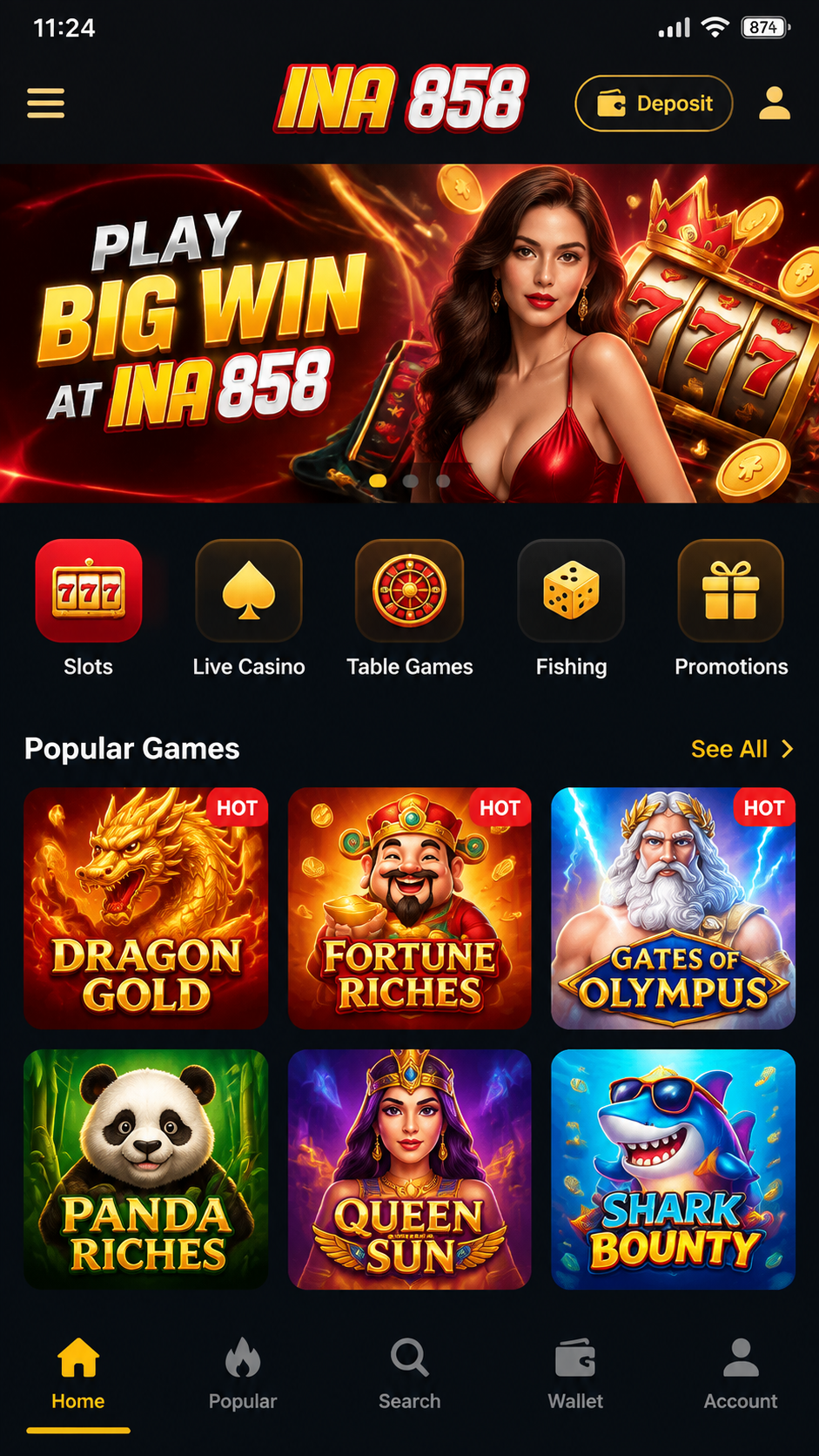 INA858 screenshot 1
