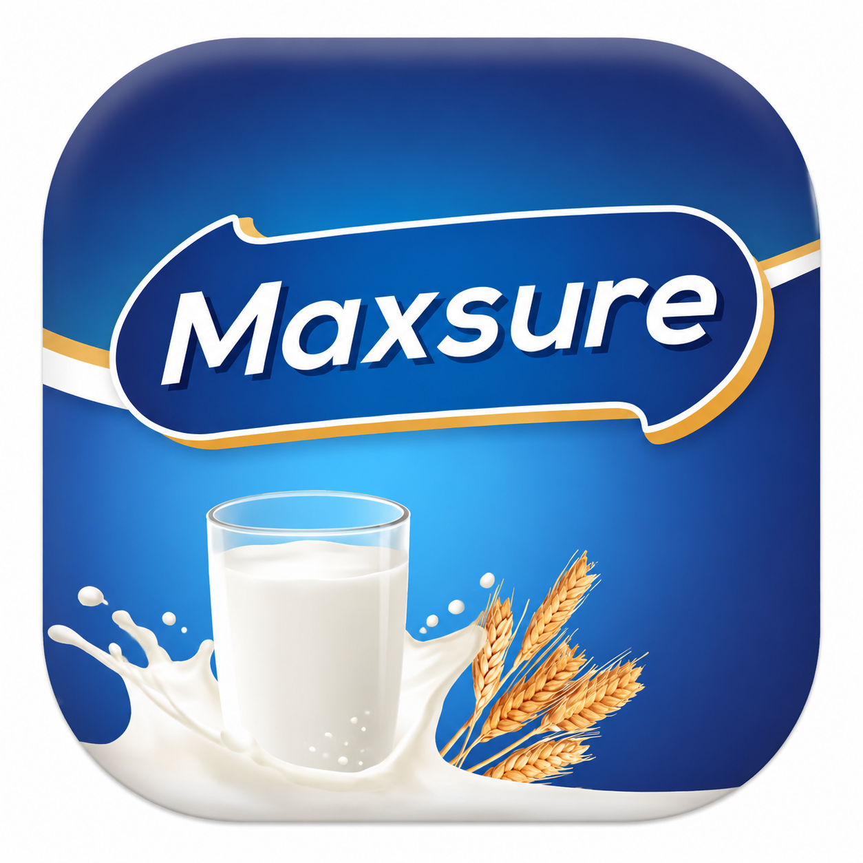 Maxsure icon