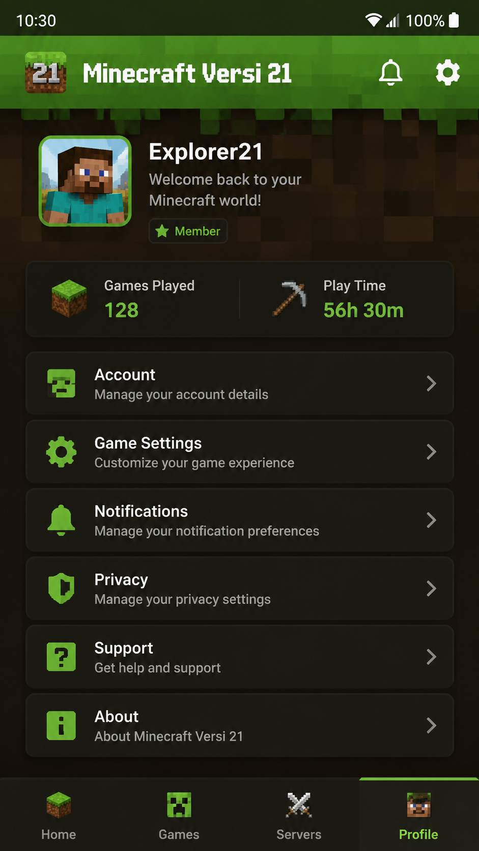 Minecraft Versi 21 screenshot 3