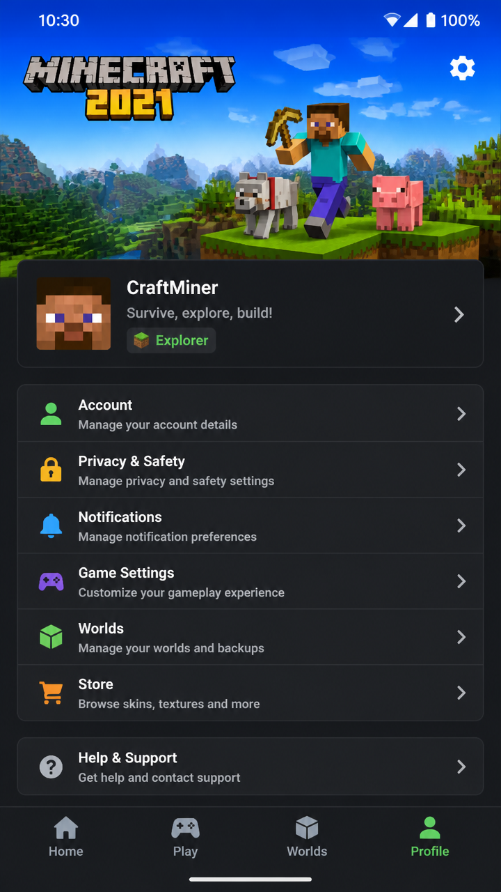 Minecraft 2021 screenshot 3