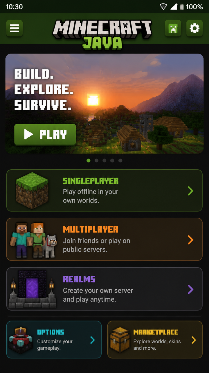 Minecraft Java screenshot 2