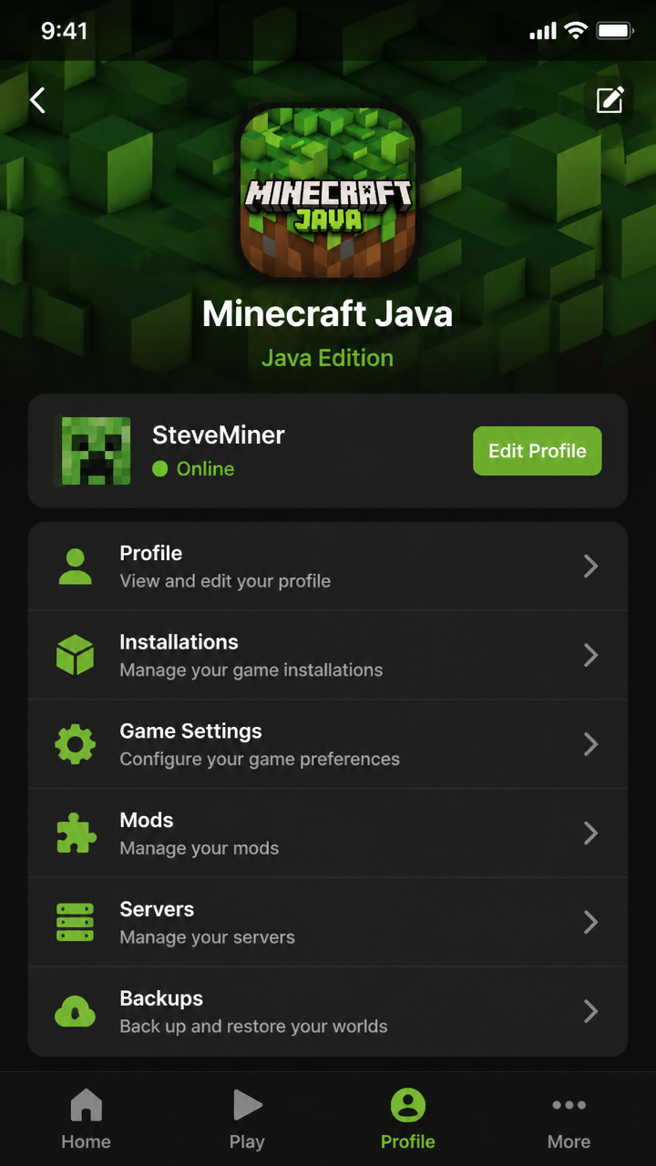 Minecraft Java screenshot 3