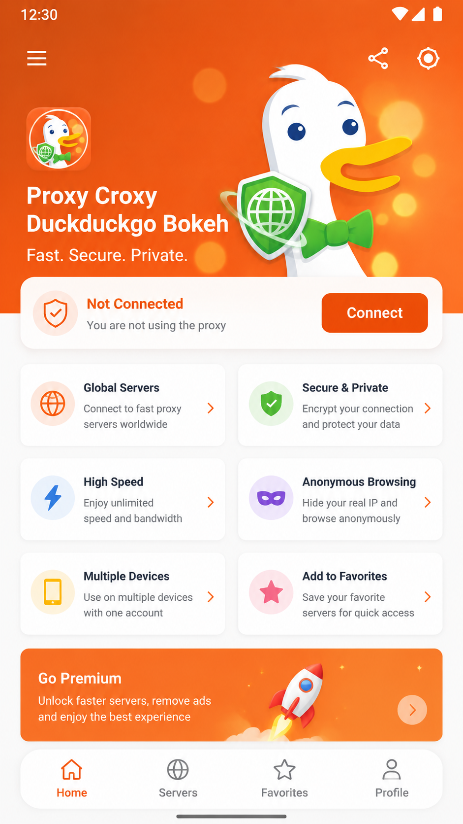 Proxy Croxy Duckduckgo Bokeh screenshot 2