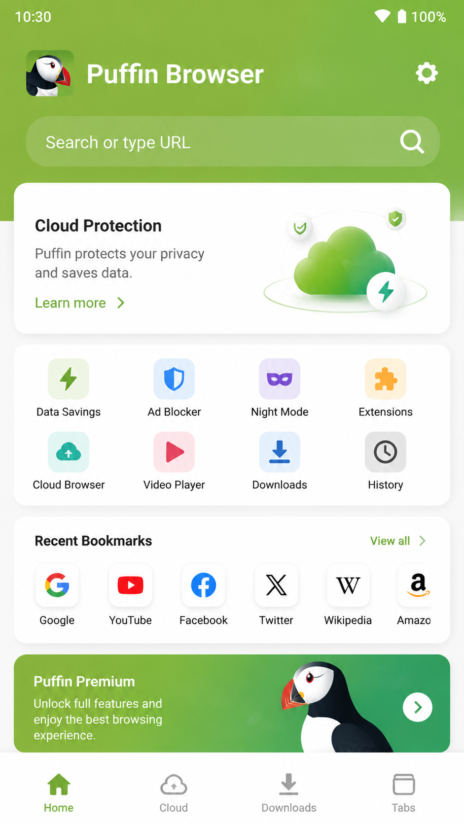 Puffin Browser screenshot 2