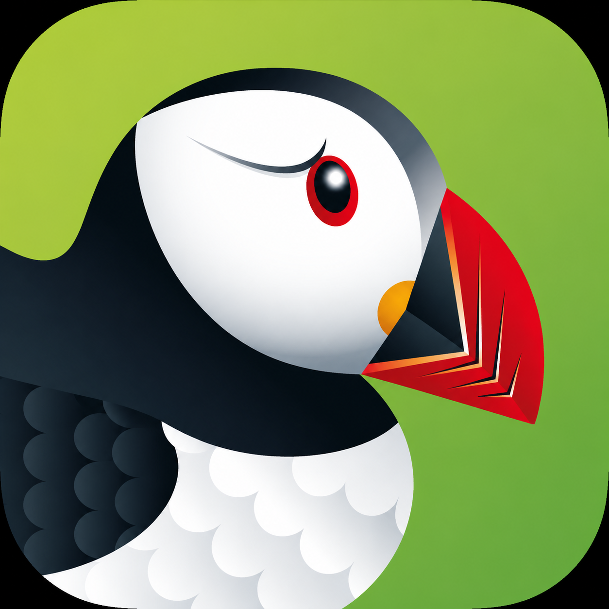Puffin Browser icon