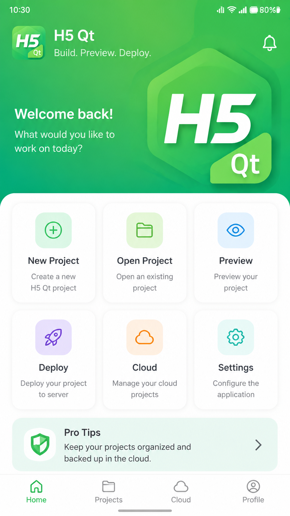 H5 Qt screenshot 1