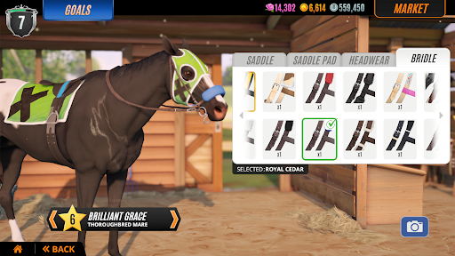 Rival Stars Horse Racing screenshot 7