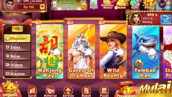 RSNVIP7 screenshot 1