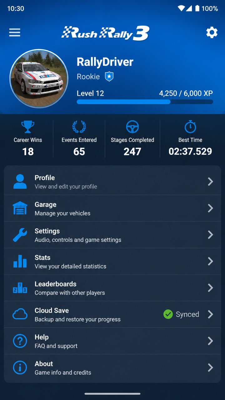 Rush Rally 3 screenshot 3