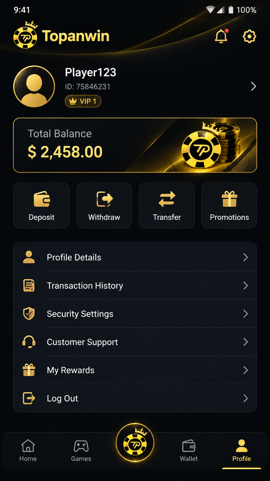 Topanwin screenshot 2