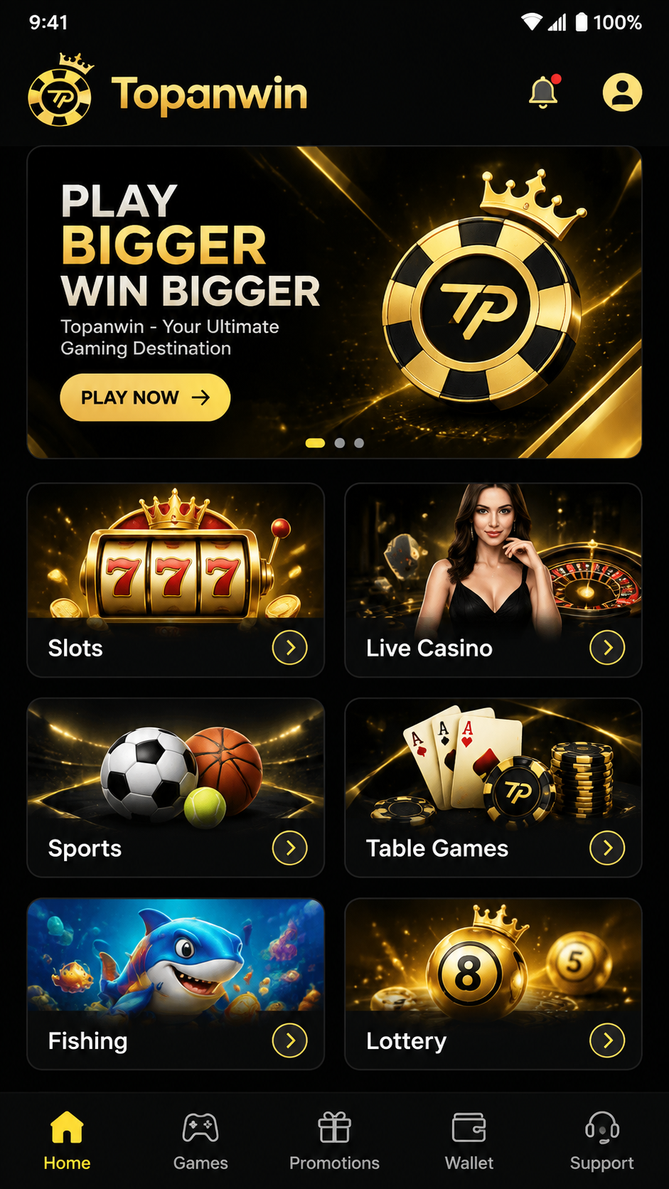 Topanwin screenshot 1