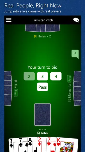 Trickster Pitch screenshot 1
